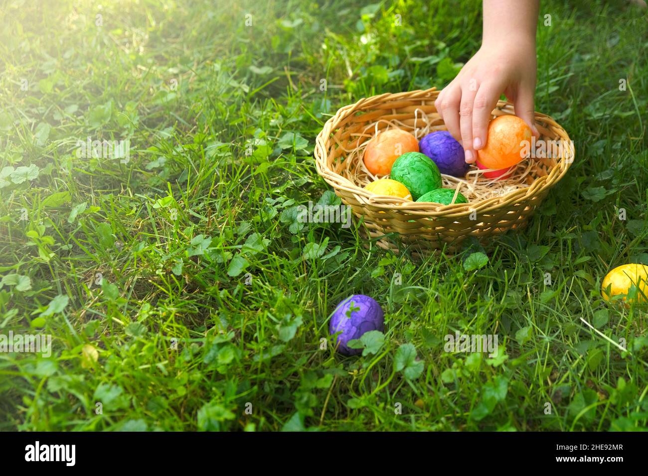 Ostereiersuche. Sammeln von Ostereiern. Das Kind sammelt Ostereier und legt sie in einen Korb im Frühlingsgarten. Religiöser Feiertag Stockfoto