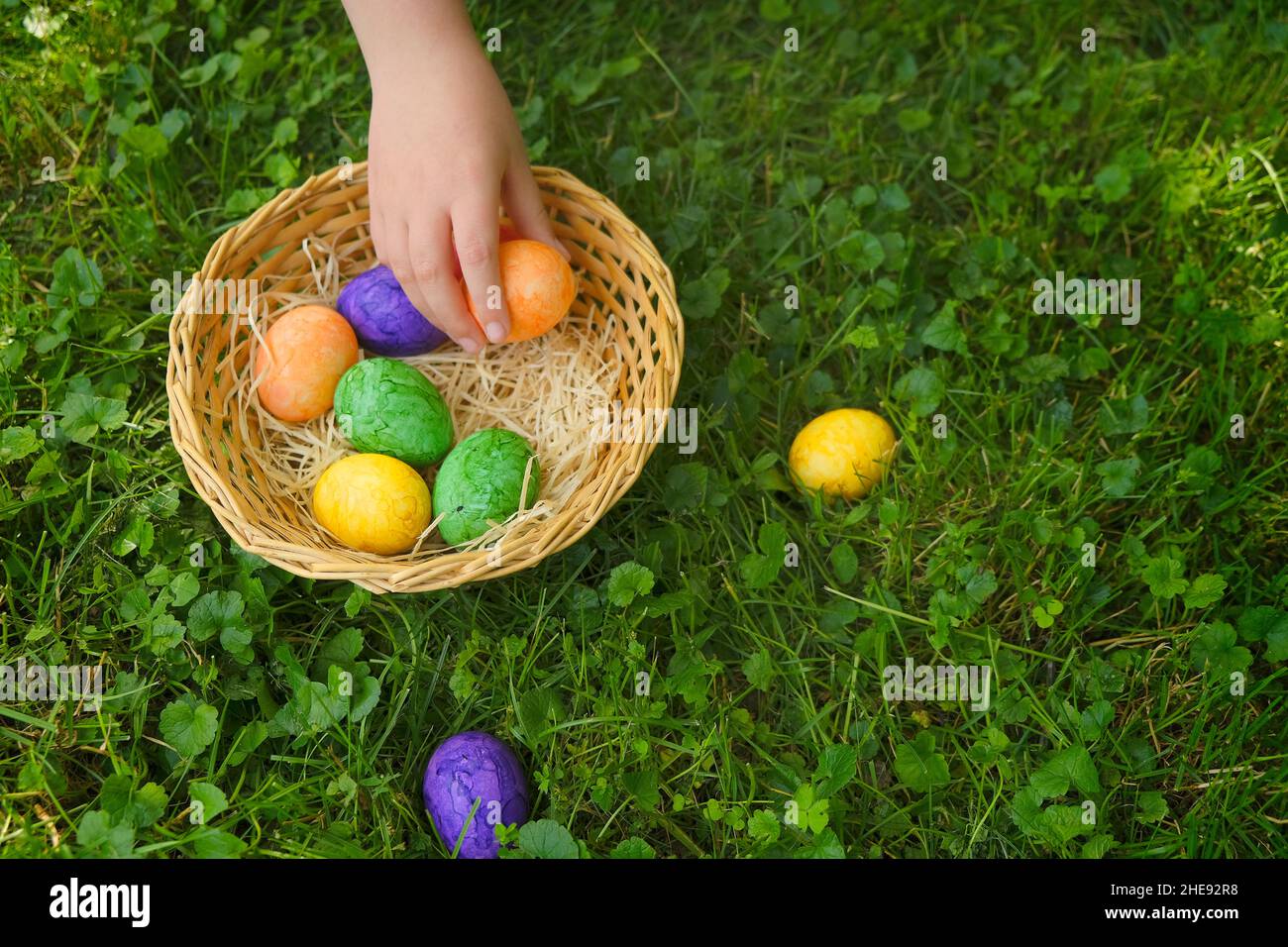 Osterjagd. Sammeln von Ostereiern. Das Kind sammelt Eier und legt sie in einen Korb im Frühlingsgarten.Bunte ostereier. Religiöser Feiertag Stockfoto