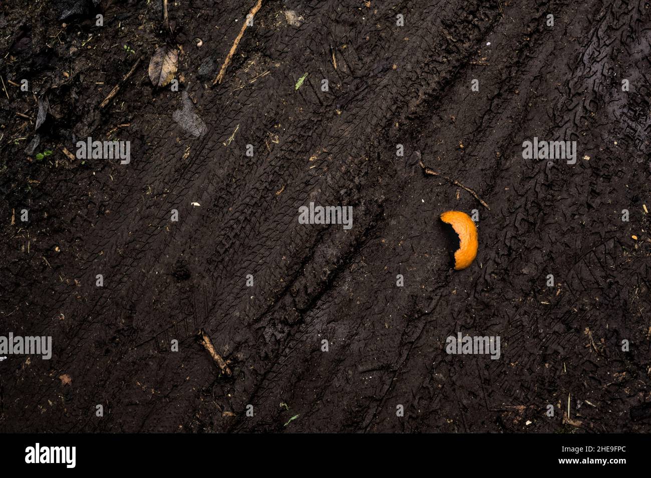 Orange schält sich auf einem schlammigen Pfad von oben gesehen Stockfoto