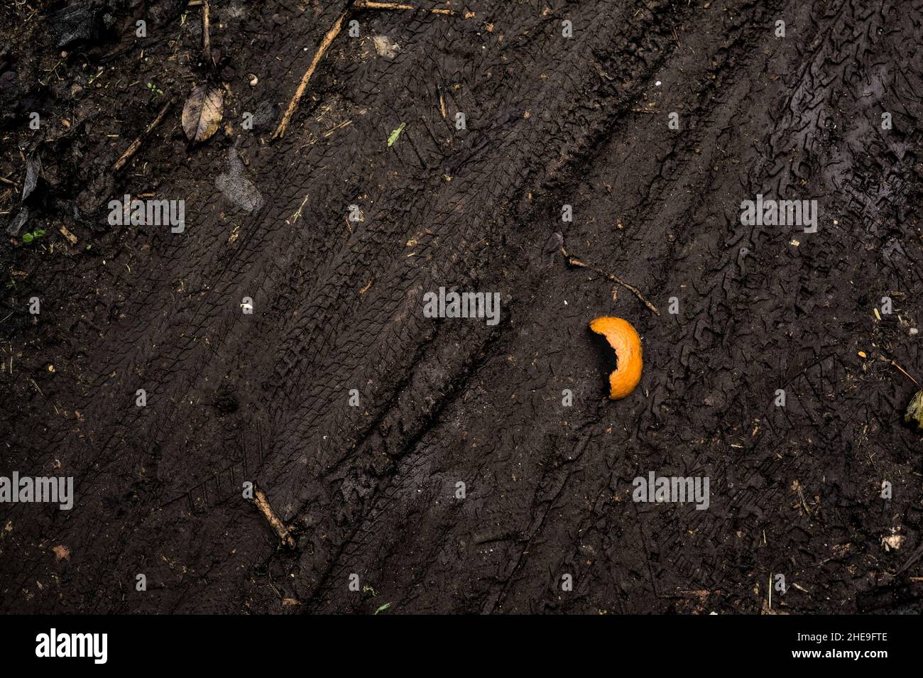 Orange schält sich auf einem schlammigen Pfad von oben gesehen Stockfoto