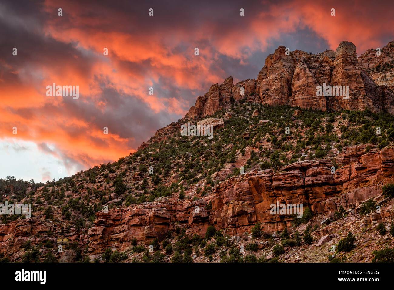 USA, Utah, Zion National Park, feuriger Sonnenuntergang über den roten Felsen von Zion Stockfoto