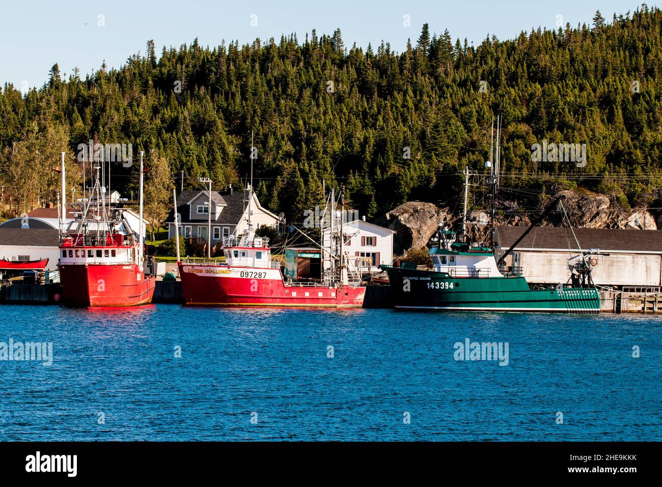 Stag Harbour, Fogo Island, Neufundland, Kanada. Stockfoto