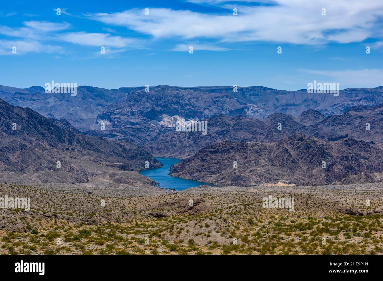 Blick auf die Colorado River Kurve in Nevada, USA. Wunderschönes blaues Wasser und blauer Himmel im Kontrast zu den braunen Hügeln um es herum. Wüstenpflanzen im Vordergrund Stockfoto