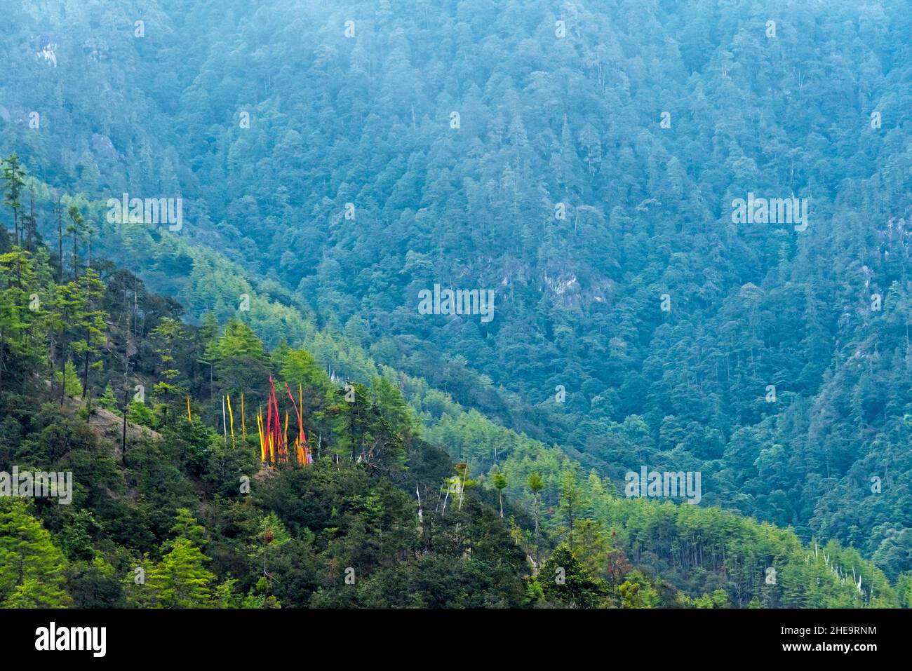 Gebetsfahnen im Wald im Himalaya, Paro, Bhutan Stockfoto