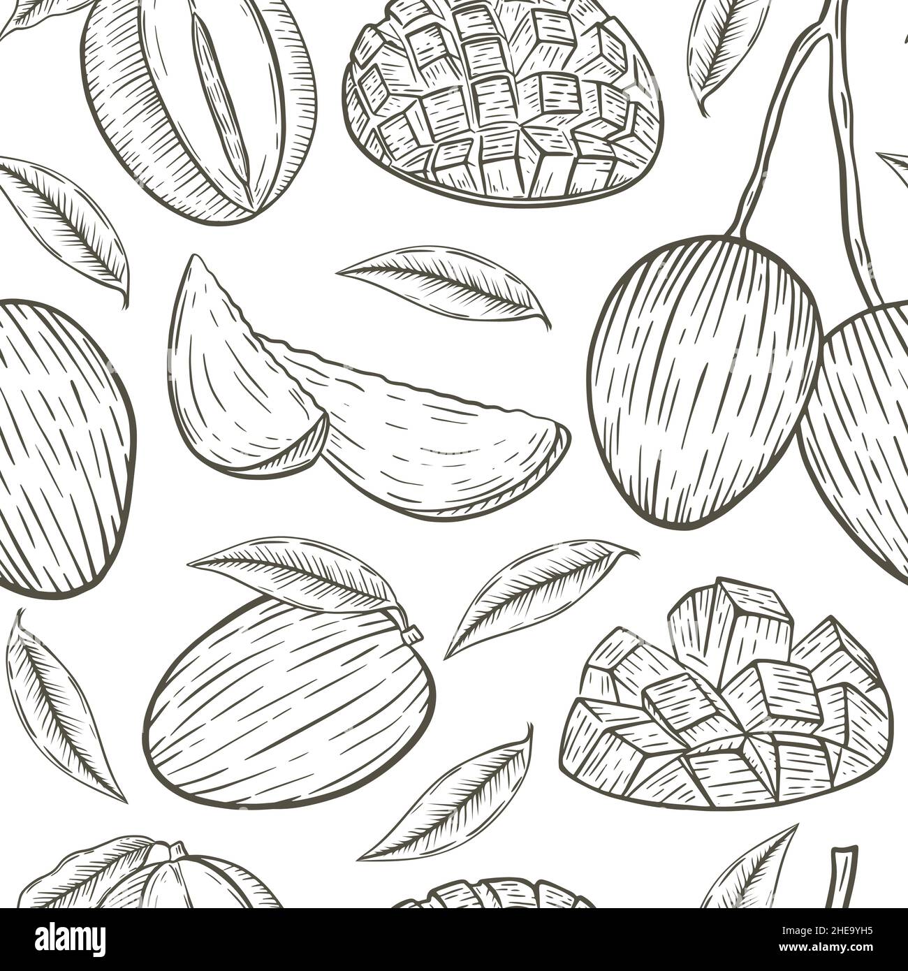 Skizzieren Sie die nahtlose Vektor-Illustration des Mango-Musters Stock Vektor