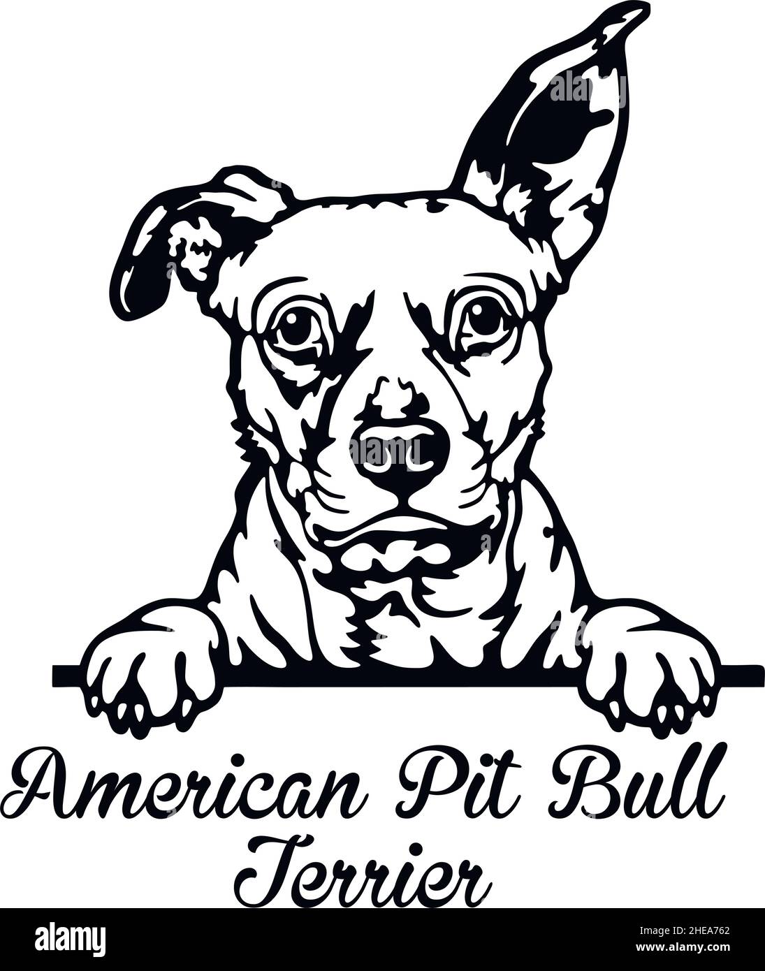 American Pit Bull Terrier Peeking Dog - Kopf isoliert auf weißem - Vektorstock Stock Vektor
