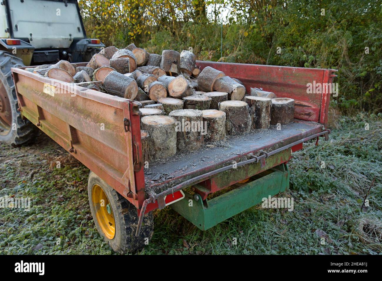 Ein großer Haufen von Frost bedeckte Holzstämme in einem Bauernwagen, der auf die Lagerung zum Würzen wartete, November 2021 Stockfoto