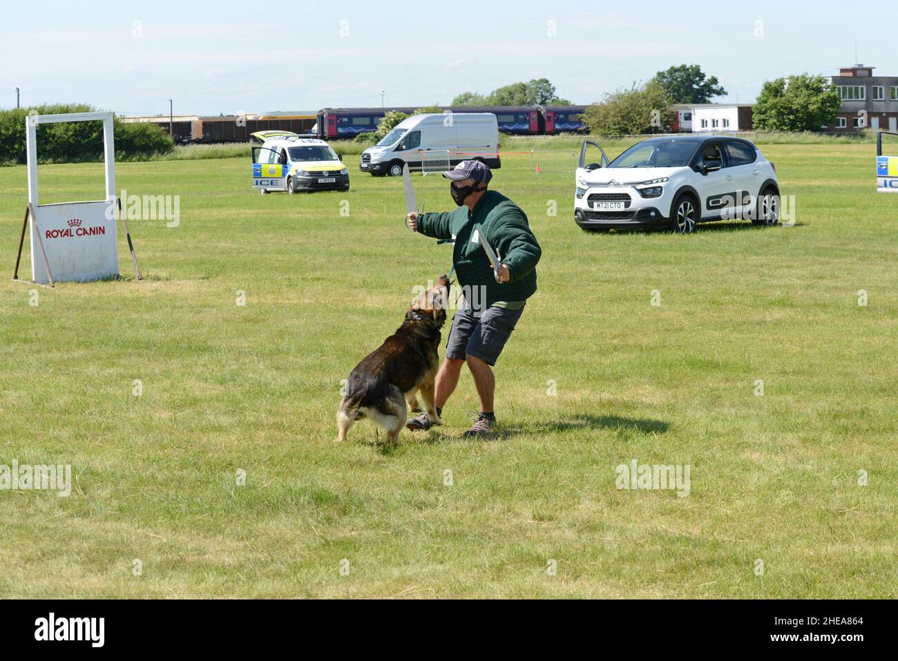 British Transport Police zeigt Polizeihunde, die einen externen Anbieter auf der Eisenbahnausstellung Rail Live, Warwickshire, Juni 2021, zurückhalten Stockfoto