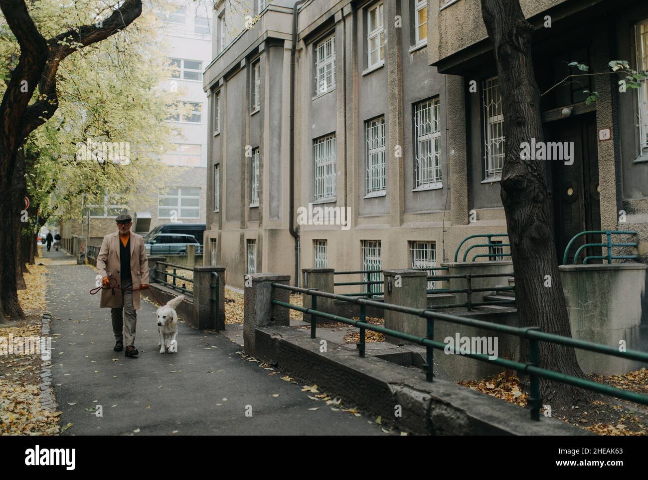 Fernansicht eines eleganten älteren Mannes, der im Winter mit seinem Hund in der Stadt unterwegs ist. Stockfoto