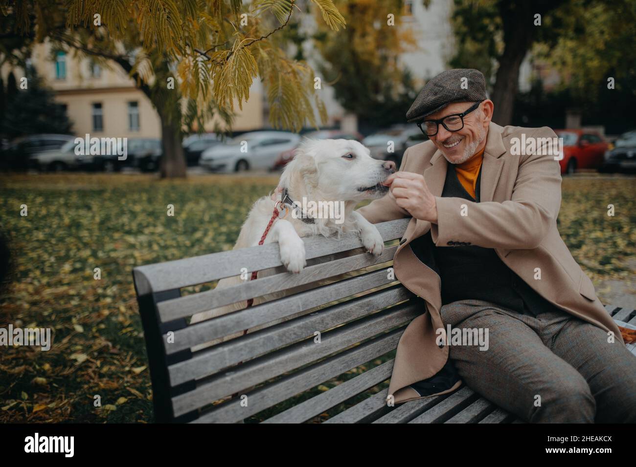 Glücklicher älterer Mann, der auf der Bank sitzt und sich während eines Hundespaziergangs im Freien in der Stadt ausruht. Stockfoto