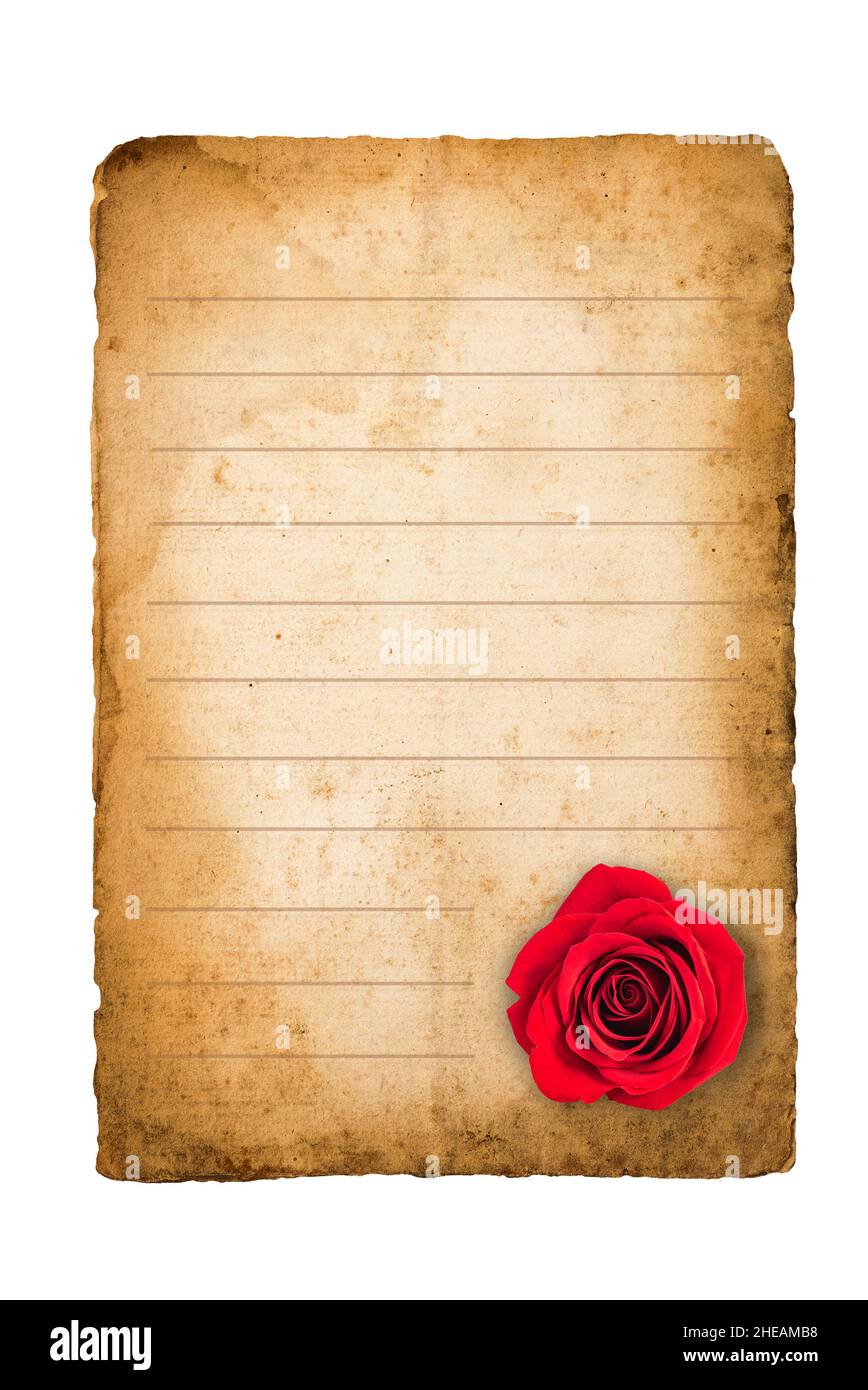 Alter Brief mit roter Rose isoliert auf weiß Stockfoto