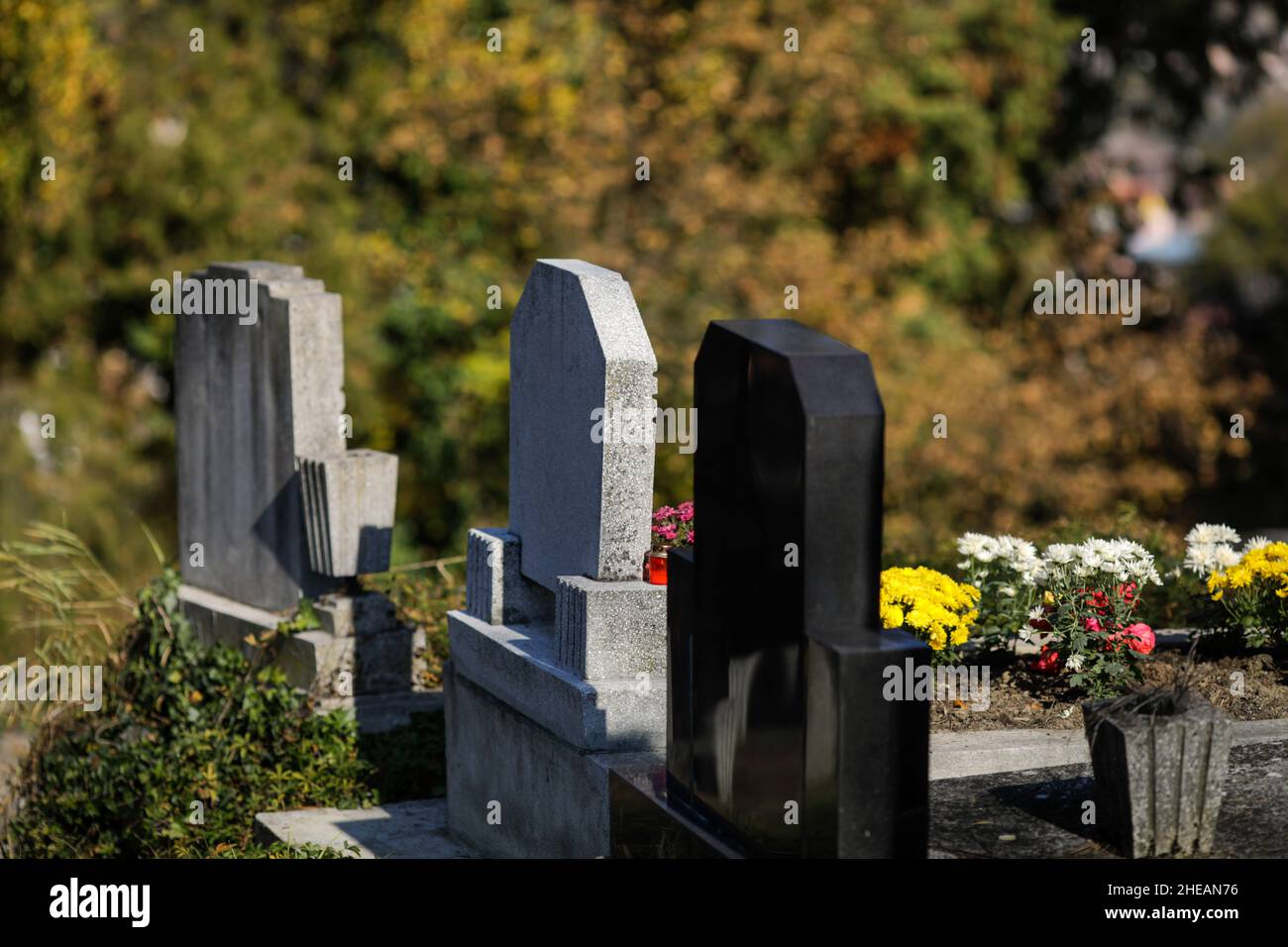 Sighisoara, Rumänien - 30. Oktober 2021: Details mit Gräbern, Grabsteinen und Vegetation vom alten sächsischen Friedhof in der mittelalterlichen Zitadelle und voll von w Stockfoto