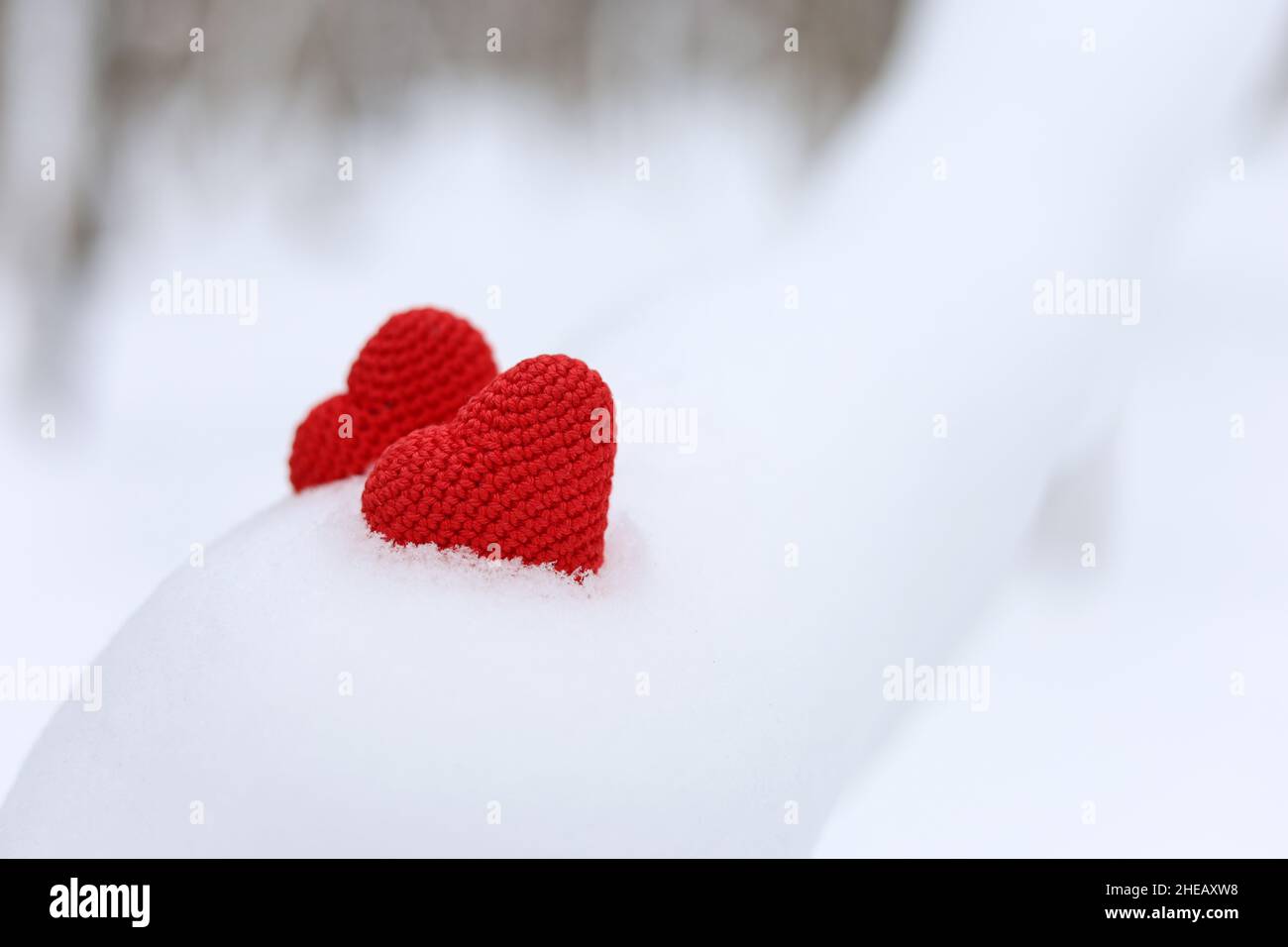 Ein paar Liebesherzen auf einem mit Schnee bedeckten Baumzweig im Winterwald. Grußkarte zum Valentinstag Stockfoto