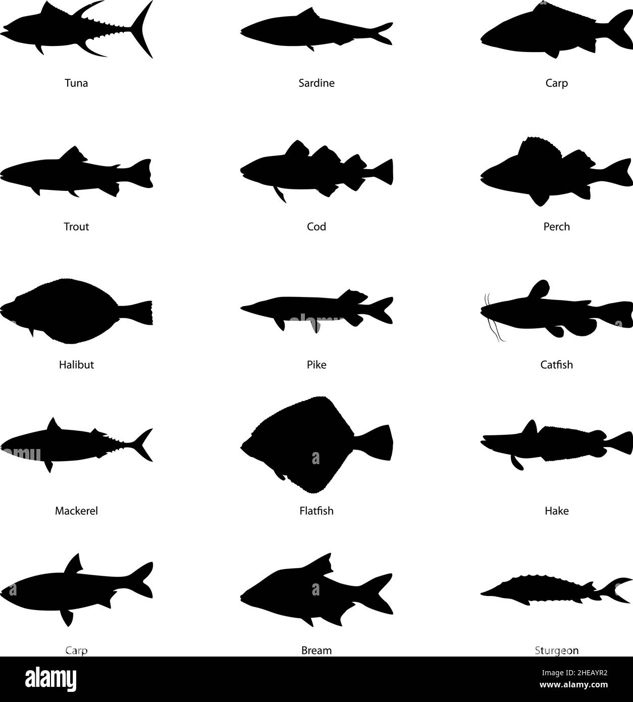 Satz von Silhouetten von Fischen, Vektor-Illustration Stock Vektor