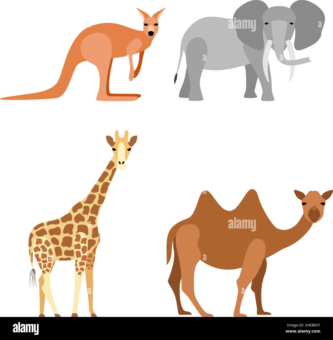 Set von Tieren: Elefant, Kamel, Giraffe, Känguru, Vektor-Illustration Stock Vektor