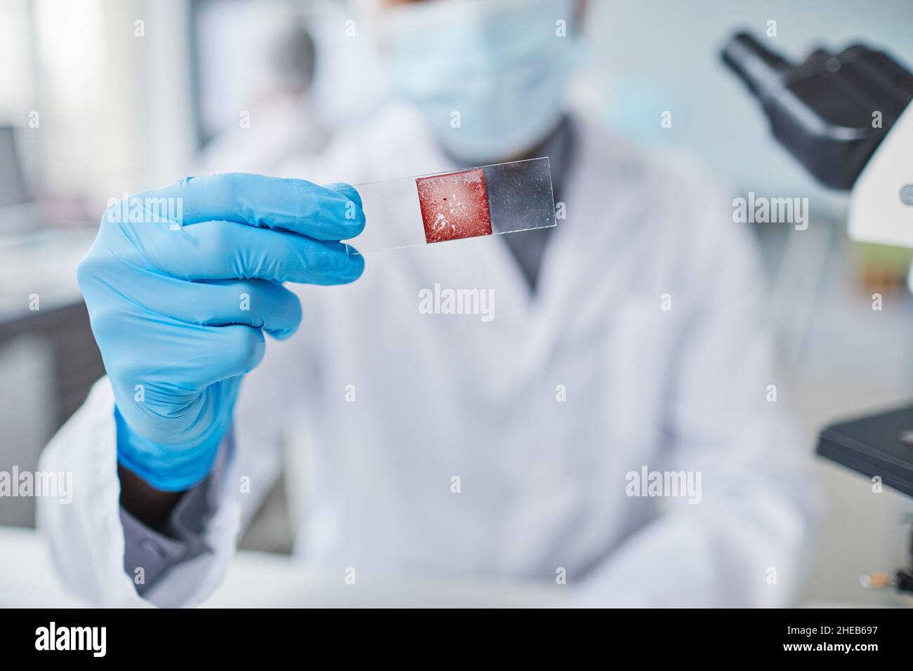 Nahaufnahme eines Wissenschaftlers in Schutzhandschuhen, der Glas mit Analyse darauf hält und es im Labor untersucht Stockfoto