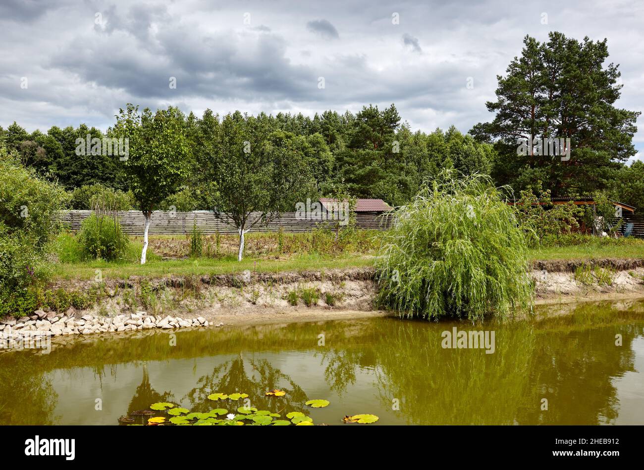 Dekorativer Teich auf dem Hinterhof gegen einen blauen Himmel mit Wolken an einem sonnigen Tag. See mit Vegetation - schöne Elementlandschaft Stockfoto