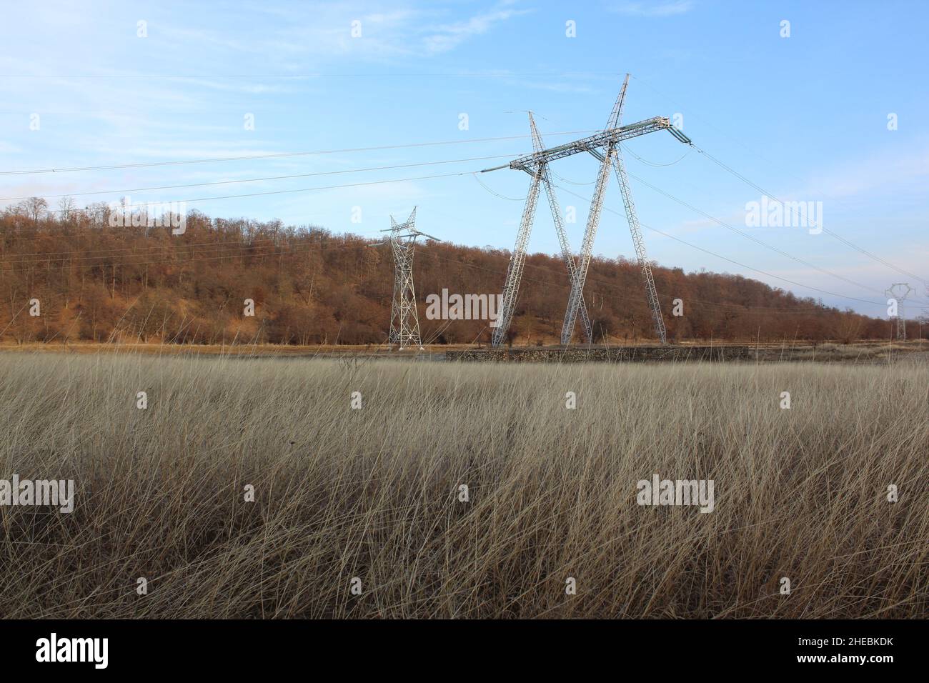 Warme Winterlandschaft mit einem elektrisierenden Look Stockfoto