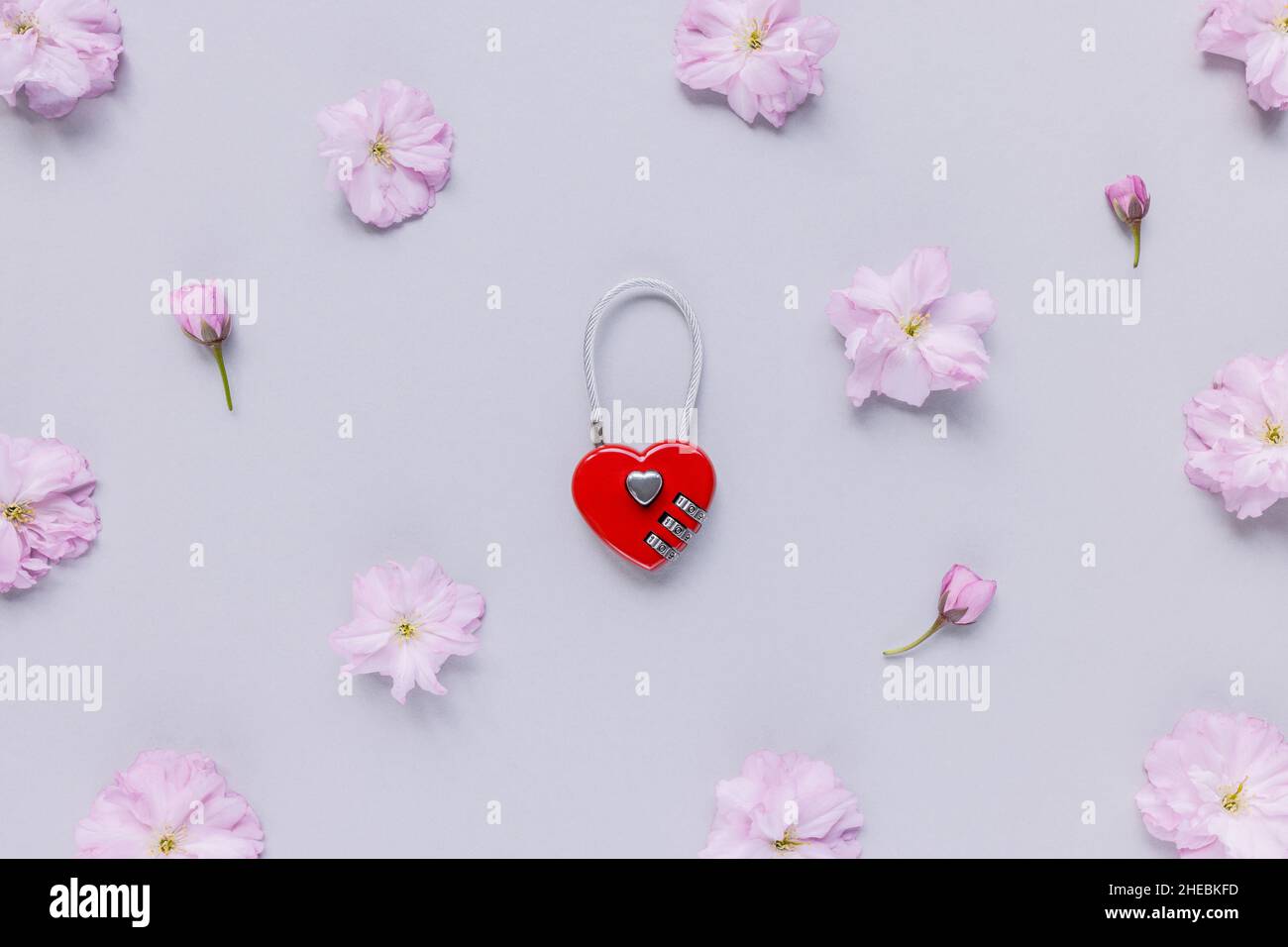 Frische Kirschblüten und kombiniertes rotes herzförmiges Gepäckschloss auf pastellrosa Hintergrund. Valentinstag, Ehe, Liebe, Beziehung im Frühjahr Konzept. Minimalistisches flaches Lay-Design, Draufsicht Stockfoto