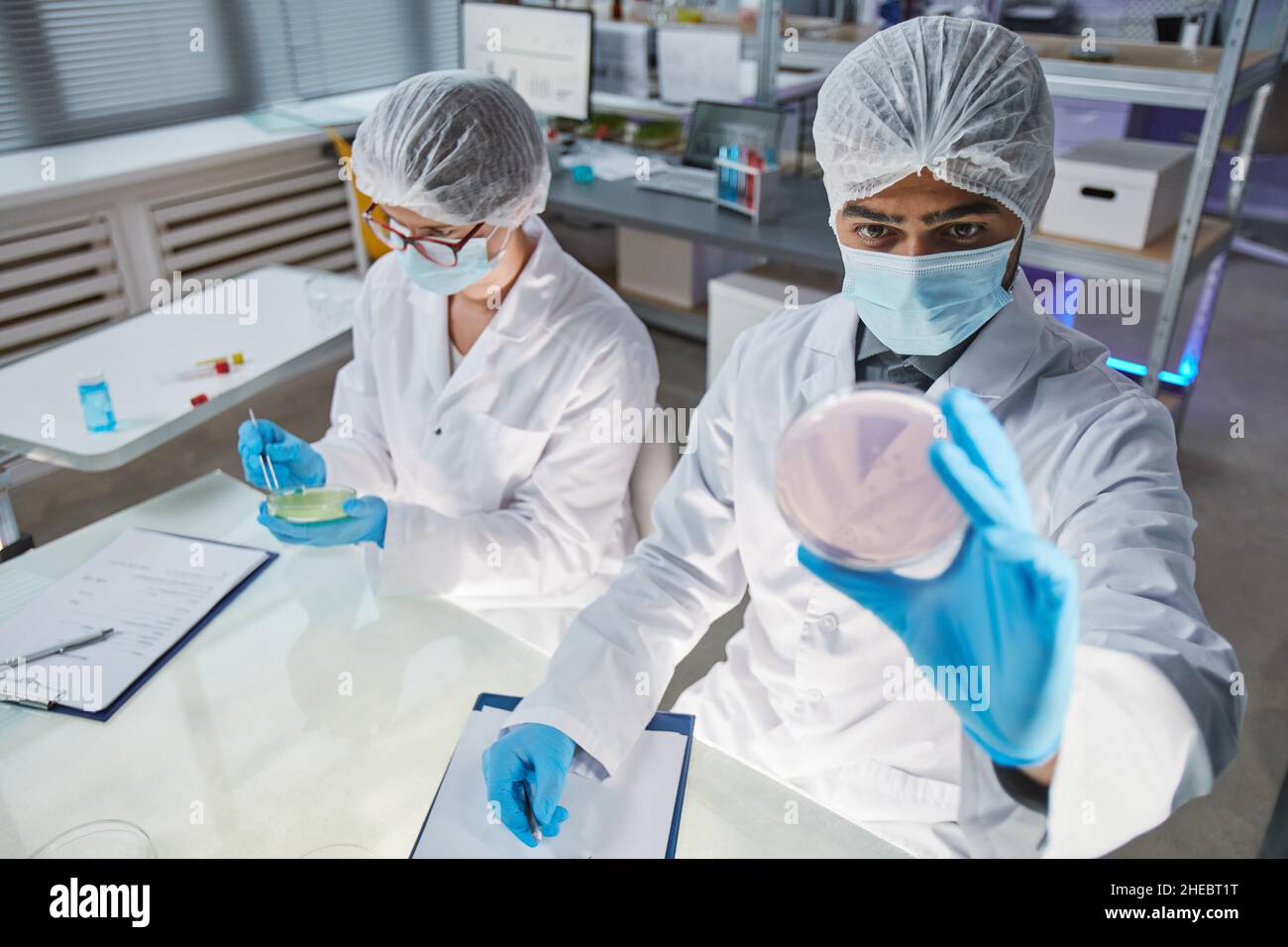 Zwei Wissenschaftler sitzen zusammen am Tisch und untersuchen im Labor Proben von neuen Viren in Reagenzgläsern mit farbiger Flüssigkeit Stockfoto