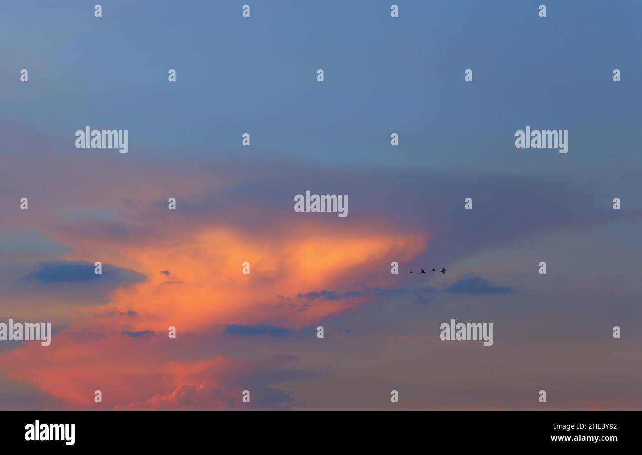 Himmel und Wolken nach Sonnenuntergang, Blick auf den Himmel in der Dämmerung für natürliches Landschaftsdesign und Vögel. Stockfoto