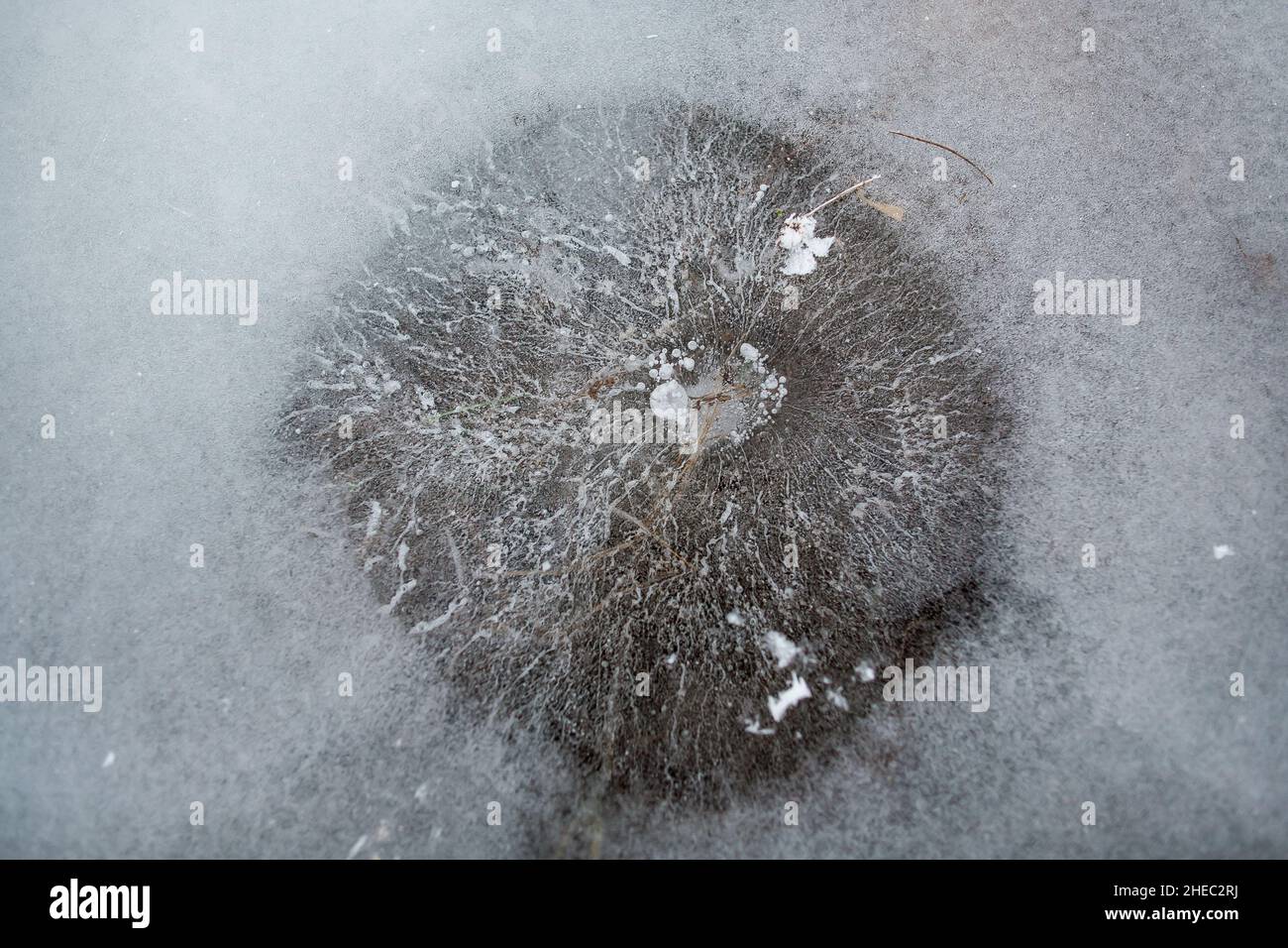 Unglaubliches Muster auf Eis auf Wasser, Loch in Eis unter Eisschicht gefangen erstaunliche Muster gefrorene Seeoberfläche, Eisoberfläche Hintergrund Wasser Textur Stockfoto