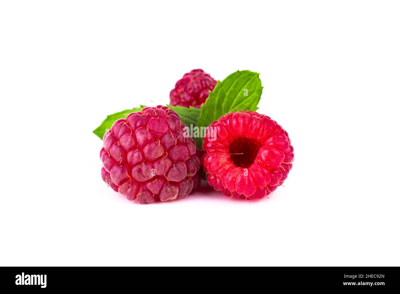 Himbeere. Reife süße Himbeere Makrobild mit Minzblättern auf weißem isolierten Hintergrund. Nahaufnahme des Bildes. Stockfoto