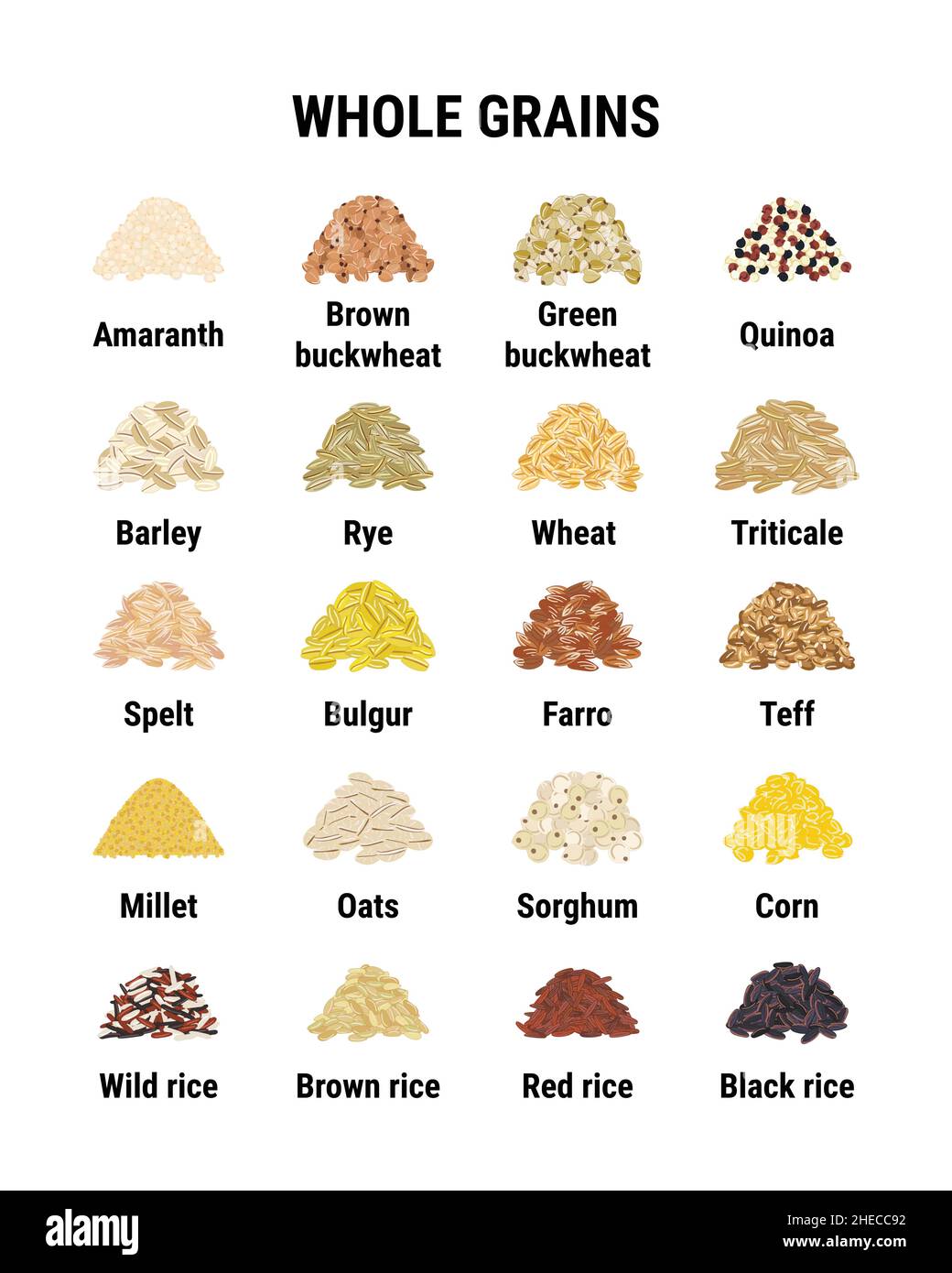 Infografik Vollkornprodukte. Gesunde Getreidekörner. Weizen, Gerste, brauner Reis, Buchweizen, Quinoa. Handgezeichnete Vektorgrafik Stock Vektor