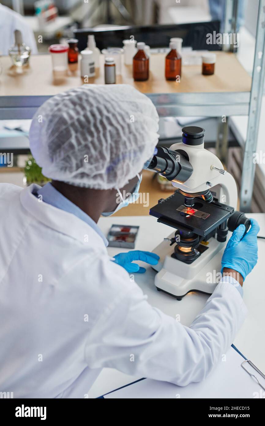 Rückansicht eines afrikanischen Arztes, der medizinische Proben mit einem Mikroskop untersucht und an seinem Arbeitsplatz im Labor sitzt Stockfoto