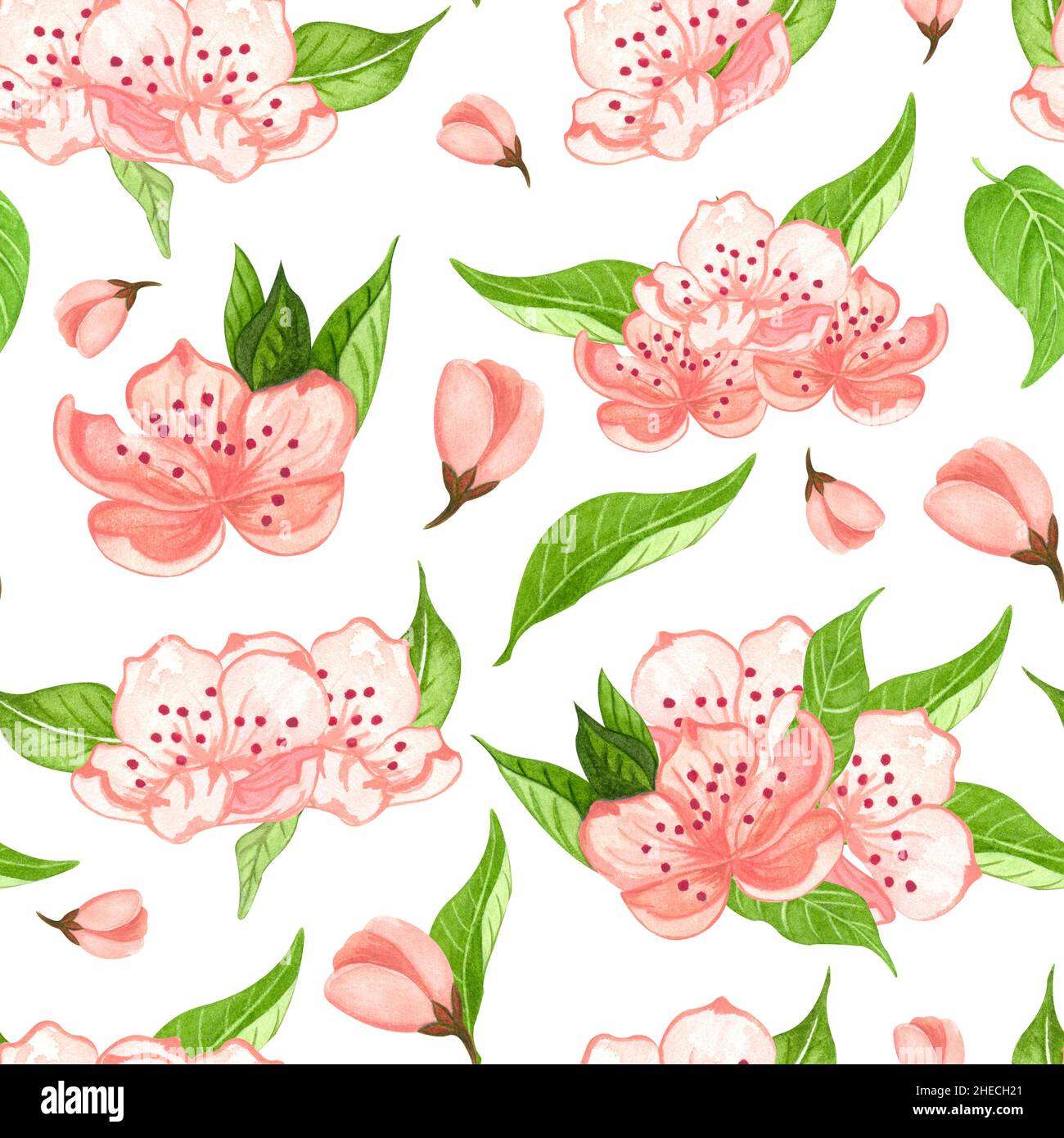 Nahtloses Aquarell-Blumenmuster - rosa Blüten, grüne Blätter. Perfekt für Verpackungen, Tapeten, Postkarten, Grußkarten, Hochzeitseinladungen Stockfoto