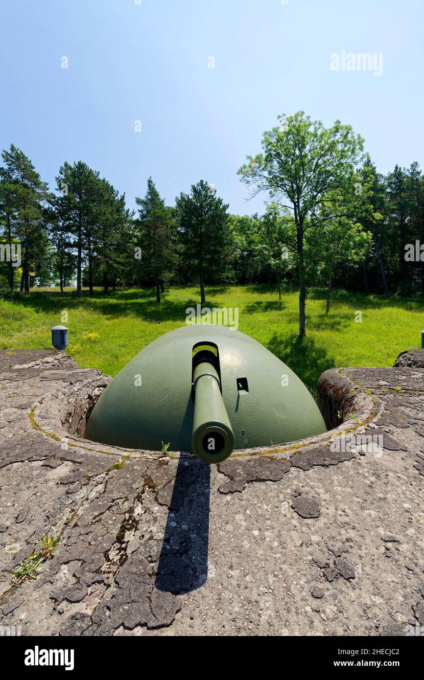 Frankreich, Bas Rhin, Mutzig, Festung Mutzig (Feste Kaiser Wilhelm II), Schildbatterie n?1, Kanone, 105-mm-Schildhalterung Stockfoto