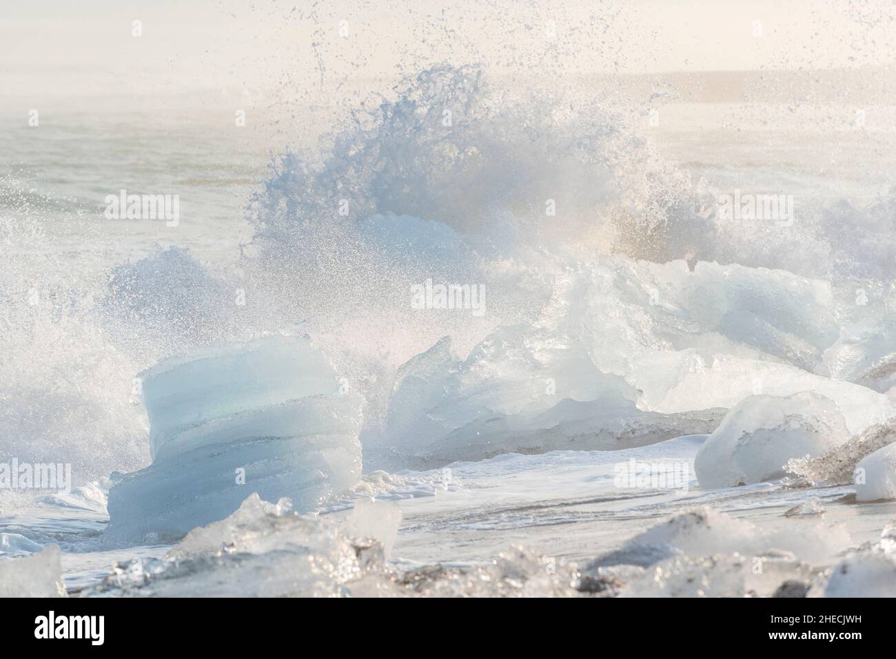 Island, Austurland Region, Breidamerkursandur, Diamond Beach neben Jokulsarlon, Eisberg im Sand Stockfoto