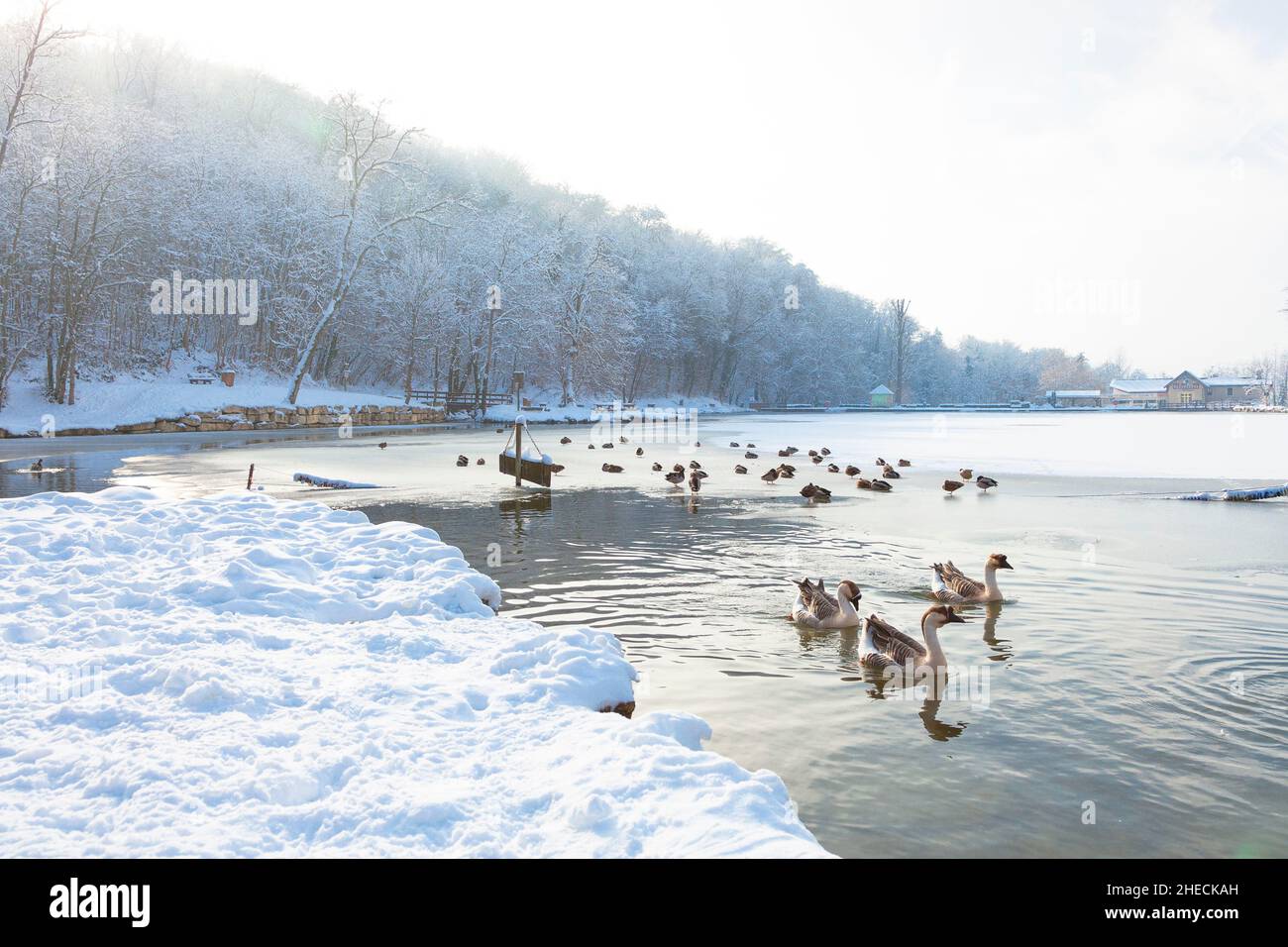 Frankreich, Isere, Bourgoin-Jallieu, Teich von Rosiere unter dem Schnee Stockfoto