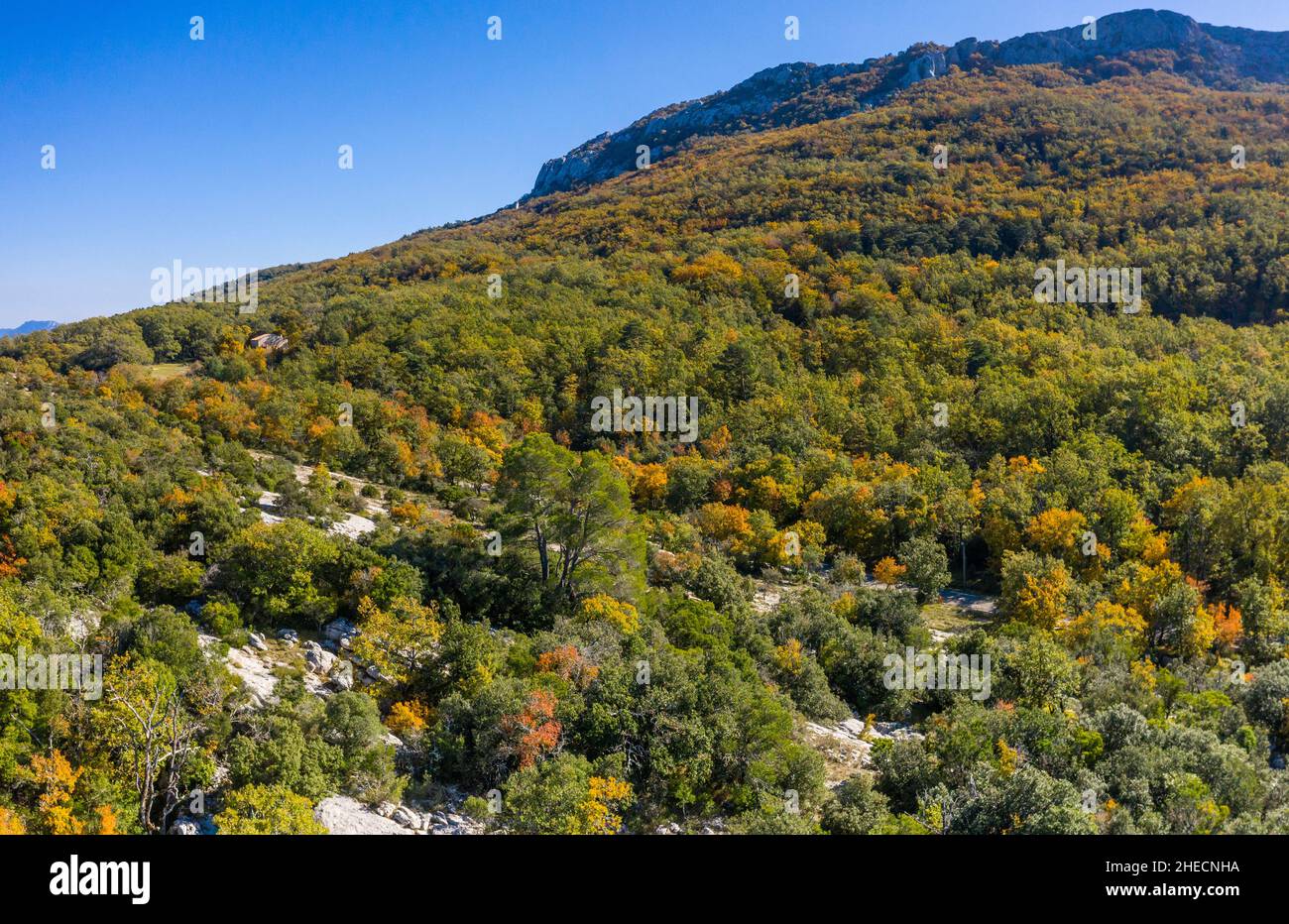 Frankreich, Var, regionaler Naturpark Sainte Baume, Massif de la Sainte Baume, Sainte Baume State Forest, Eichenwald und Kalksteinaufschlüsse (Luftaufnahme) Stockfoto