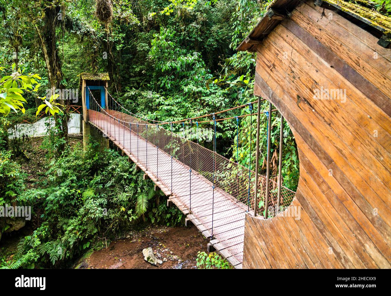 Brücke über den Wasserfall Rio Tigre im Dschungel von Oxapampa in Peru Stockfoto