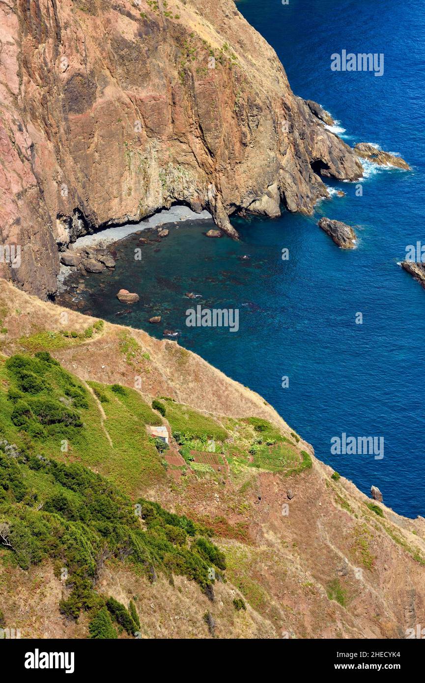 Portugal, Insel Madeira, Wanderung von Machico nach Porto da Cruz durch die Vereda do Larano, Hütte und Feldfrüchte auf der Klippe Stockfoto