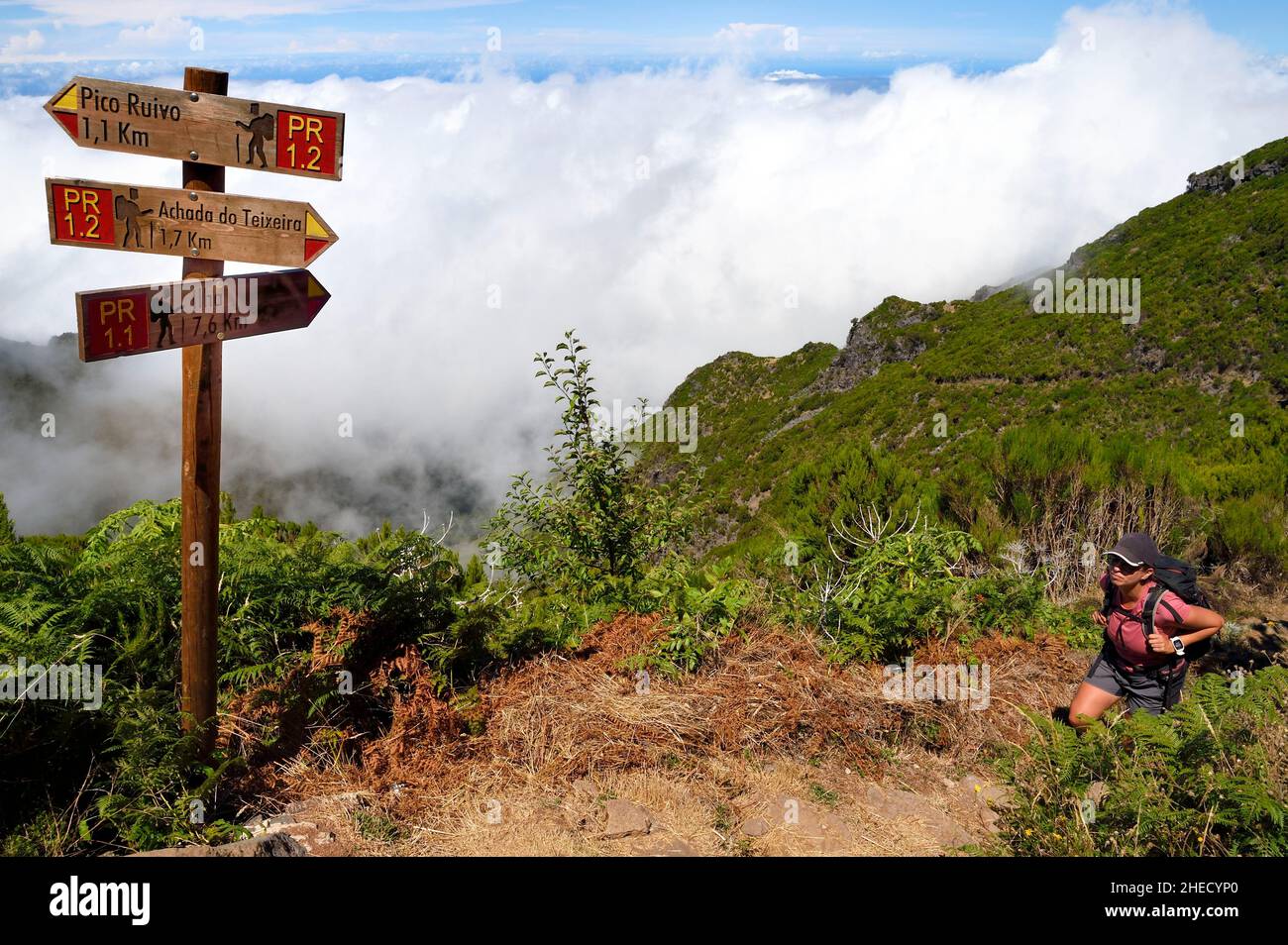 Portugal, Madeira, Vereda do Areeiro Wanderung zwischen Pico Ruivo (1862m) und Pico Arieiro (1817m), dem Pfad, der von Achada do Teixeira aus ansteigt Stockfoto