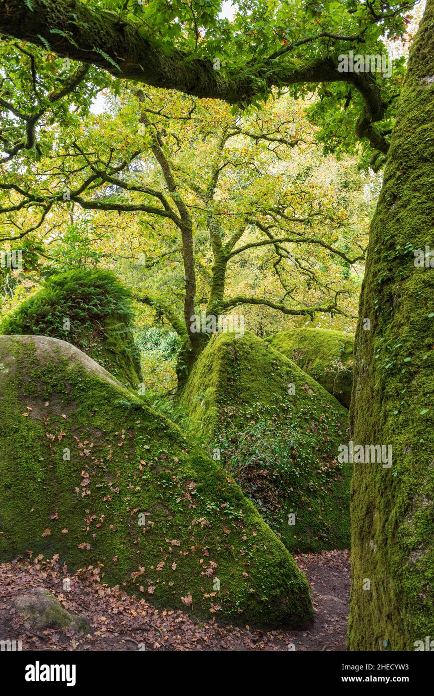 Frankreich, Finistere, regionaler Naturpark von Armorique, Huelgoat, Granitfelsen des Waldes von Huelgoat Stockfoto