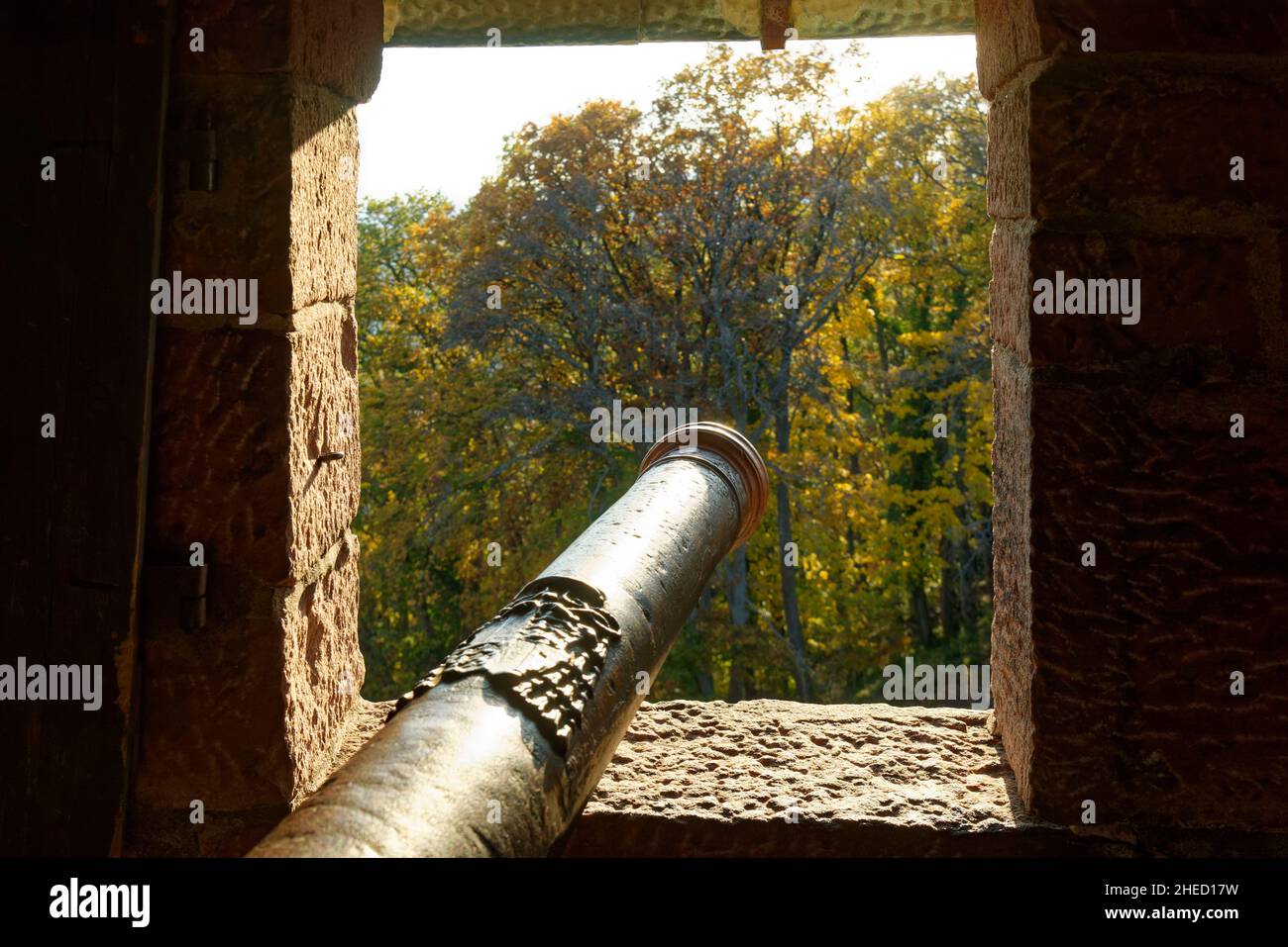 Frankreich, Bas Rhin, Elsass Weinstraße, Orschwiller, Haut Koenigsbourg Schloss, Mittelalterliche Burg des 12th. Jahrhunderts, Es ist als historisches Denkmal, die große Bastion, exponierte Kanone eingestuft Stockfoto