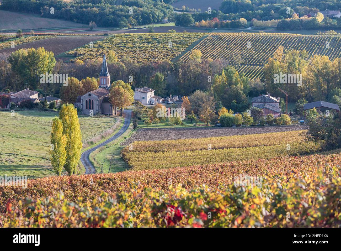 Frankreich, Tarn, Gaillac, Weingarten Stockfoto