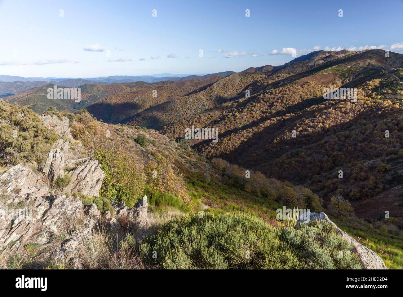 Frankreich, Gard, Valleraugue, Blick auf die Cevennen Stockfoto