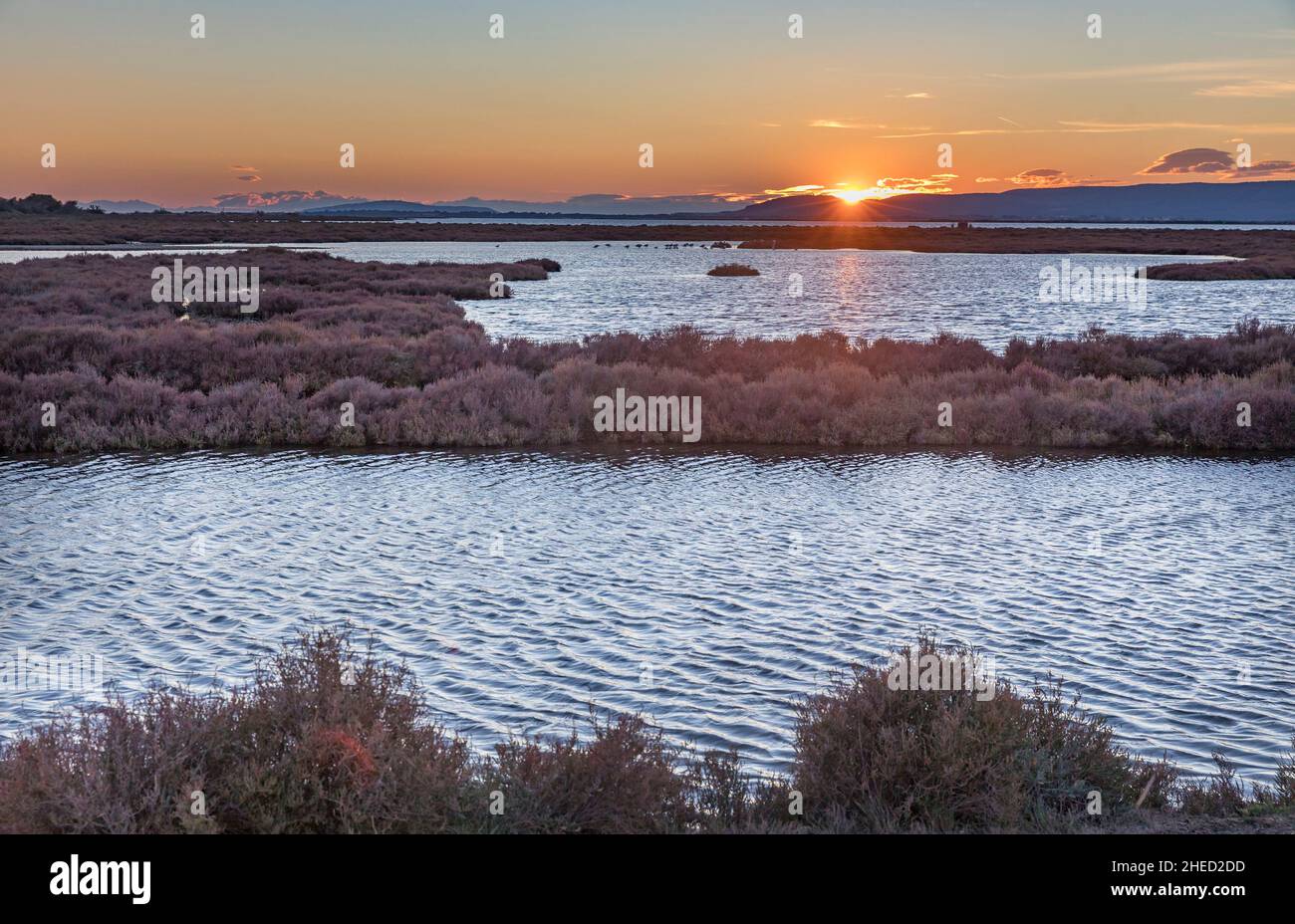 Frankreich, Herault Palavas les Flots, Sonnenuntergang auf den Teichen Stockfoto