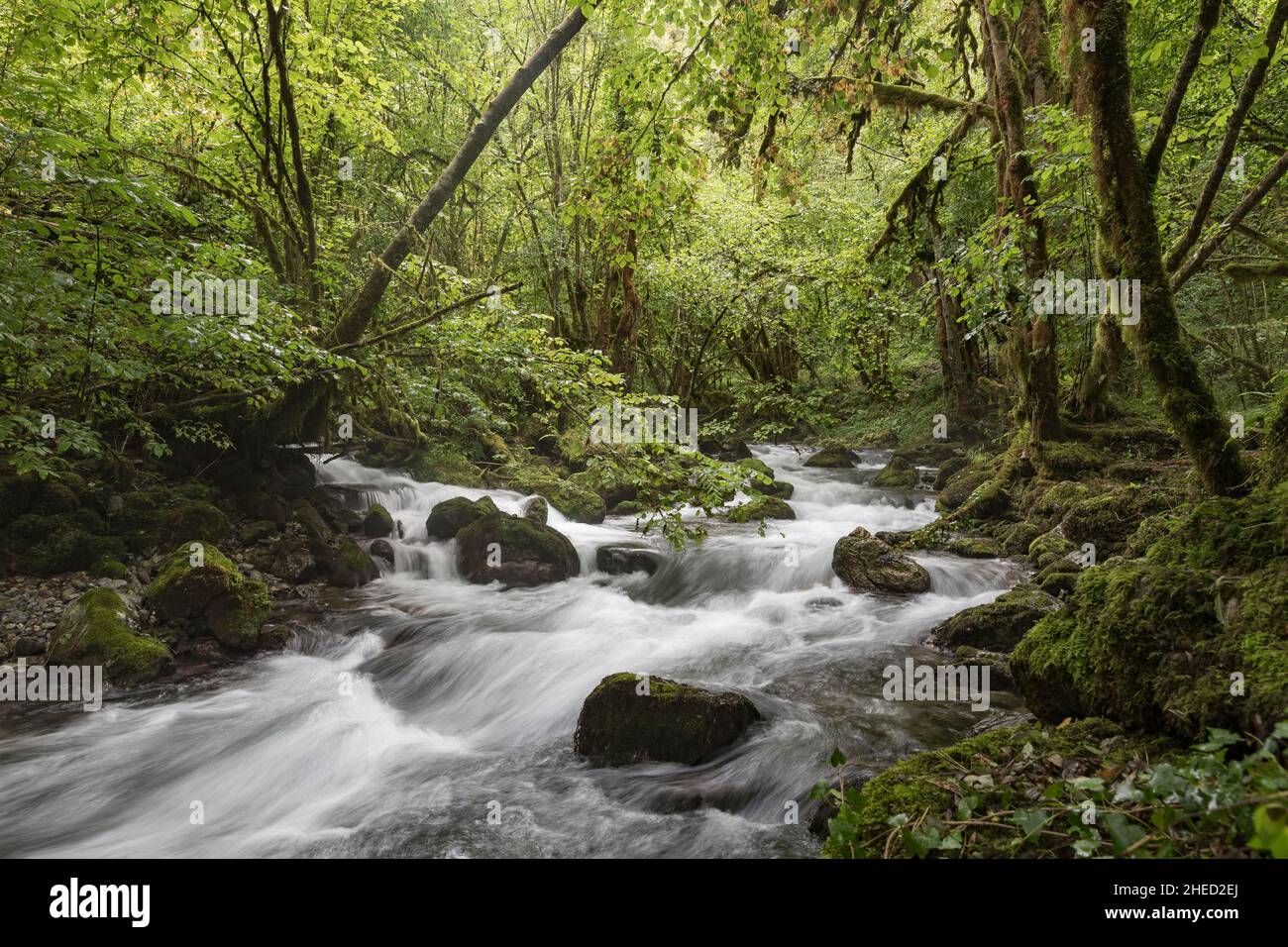 Frankreich, Hautes Pyrenees, Esparros, Arros-Tal, Gourgue d'Asque Stockfoto