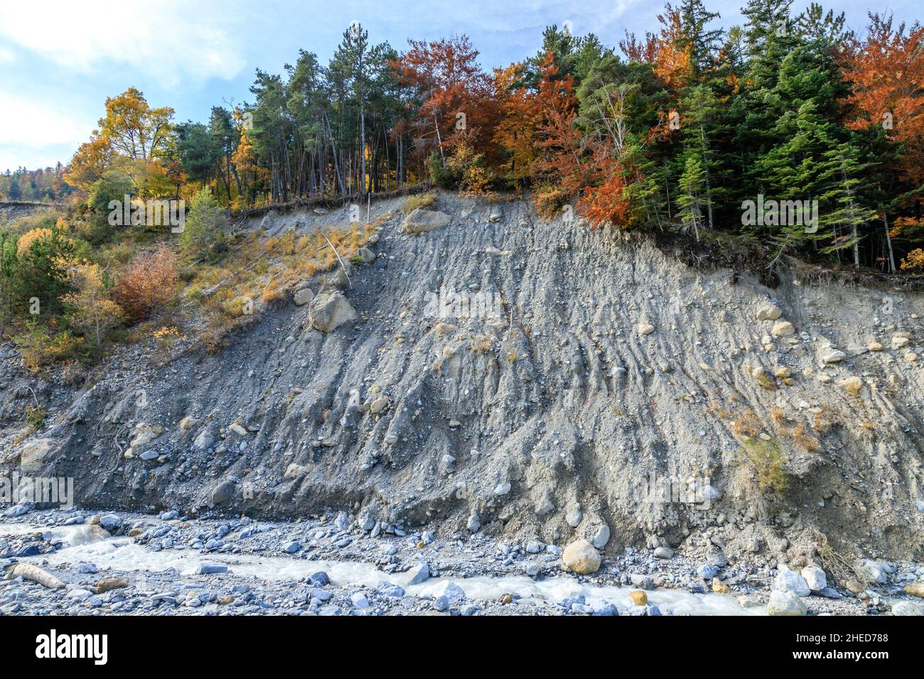 Frankreich, Hautes Alpes, Crots, Boscodon State Wald im Herbst, der Strom von Boscodon und Raving // Frankreich, Hautes-Alpes (05), Crots, forêt domaniale Stockfoto