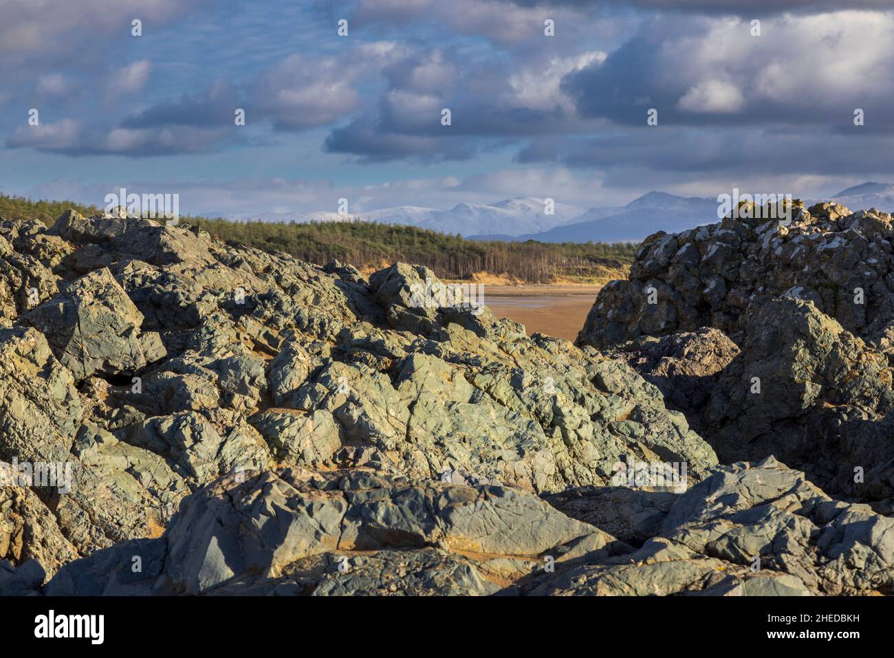 Pillow Lava Felsen am Newborough Beach mit dem Wald und den Snowdonia Bergen im Hintergrund, Isle of Anglesey, Nordwales Stockfoto