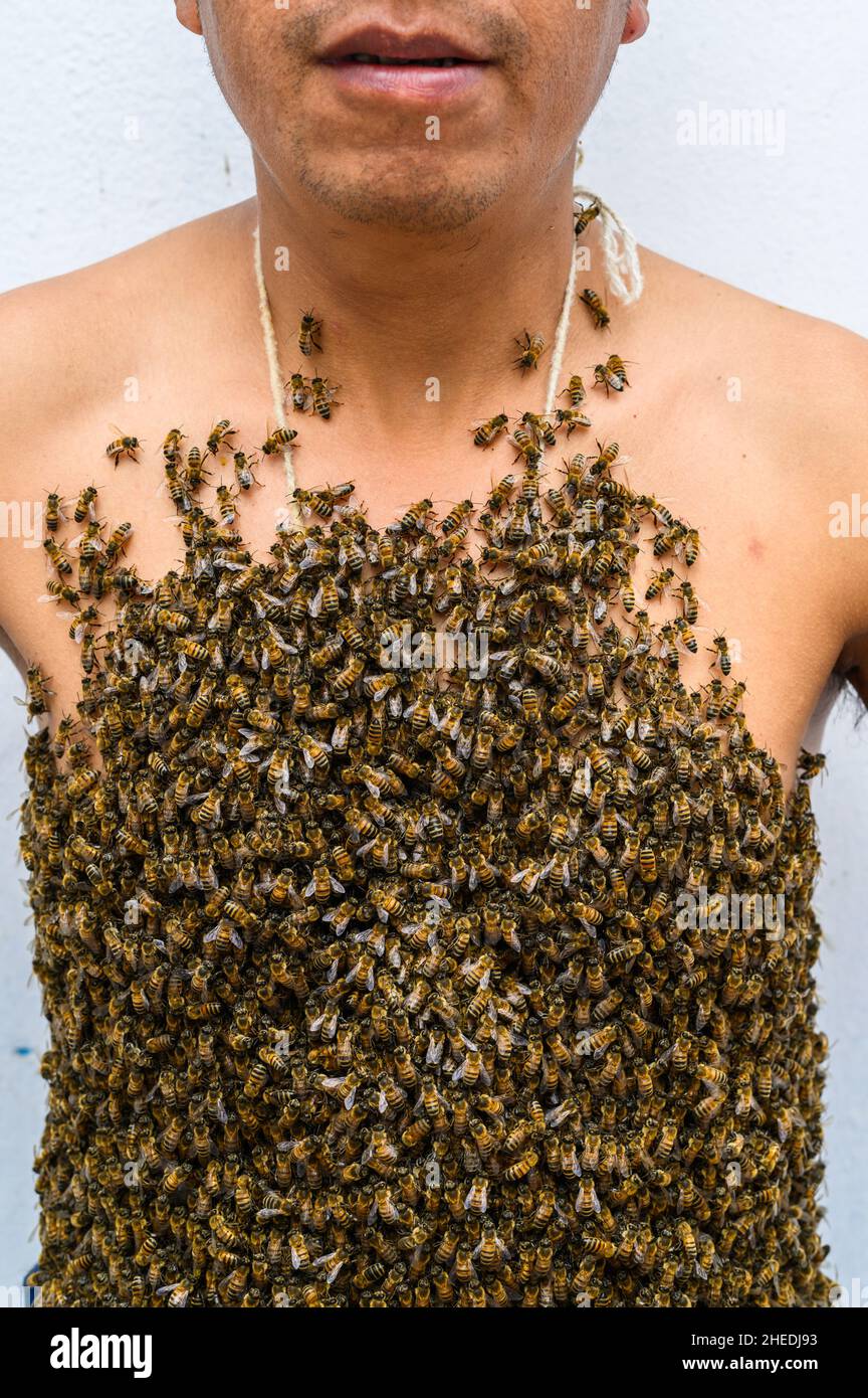 Der Körper des Menschen ist von Bienen bedeckt Stockfoto