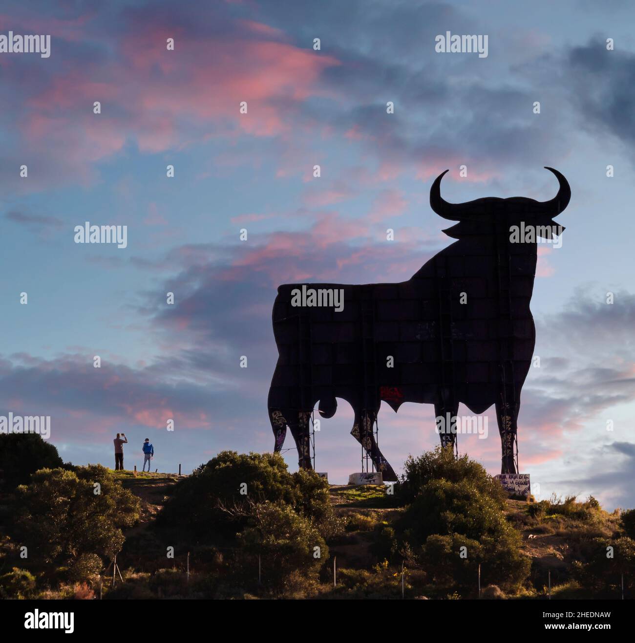 Ein Osborne Black Bull Schild über Los Boliches, Costa del Sol, Provinz Malaga, Andalusien, Südspanien. Das Stierzeichen wurde ursprünglich für die Werbung geschaffen Stockfoto