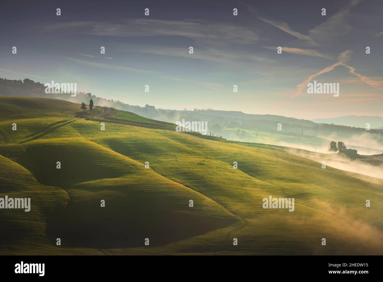 Volterra nebeliges Panorama, Bäume, sanfte Hügel und grüne Felder bei Sonnenaufgang. Toskana Italien, Europa Stockfoto