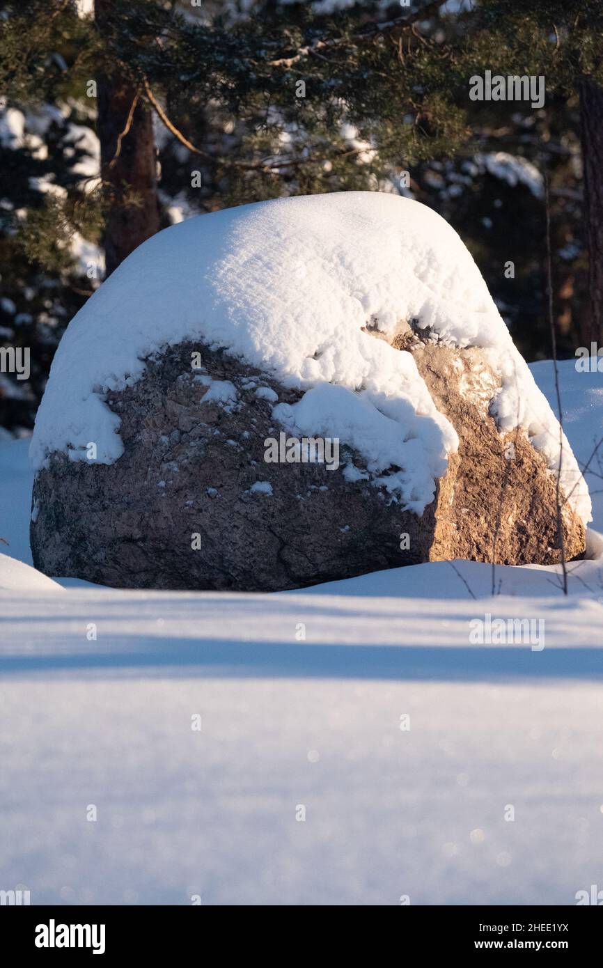 Helsinki / Finnland - 10. JANUAR 2022: Eine ländliche Szene von sonnigen Wintertagen mit einem Granitblock, der mit Schnee bedeckt ist. Stockfoto