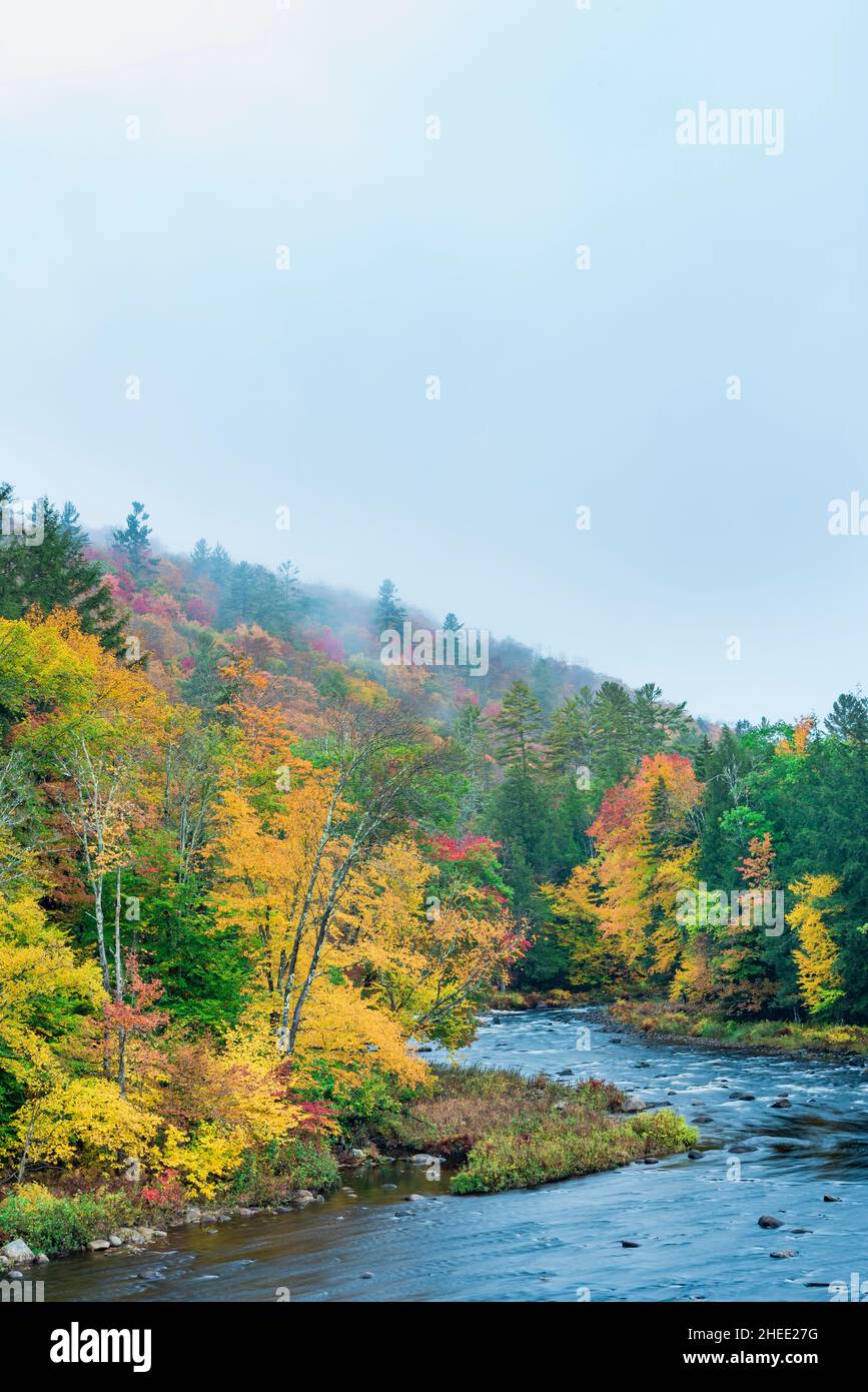 Nebliger Morgen am East Branch Sahandaga River im Herbst, Adirondack Park, Hamilton County, New York Stockfoto